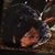 Lynn Woods's profile image