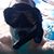 Dale Sabin's profile image