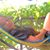 Lina Saguit's profile image