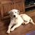 Jeanie Pratt Martin's profile image