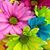 Megan Weber Brough's profile image