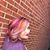 Courtney Howard's profile image