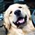 Jackie Scott Kay's profile image