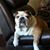 Fred Fox Sr's profile image