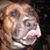 Bonnie MahanPedersen's profile image