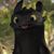 Jeni Knutson's profile image