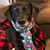 Stacy Doubet's profile image