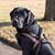Deb Sourwine Brittain's profile image
