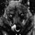 James Lombardo's profile image