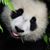 Na Tive's profile image