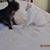 Connie Rompilla's profile image