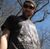 Matt Sbeglia's profile image