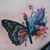 Annie Lessick's profile image