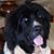 Debbie Evans Sherrill's profile image