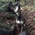Rosanne Newman Hansen's profile image