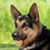 Michelle Borden's profile image