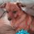 Rosanna Freeman's profile image