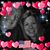 Elizabeth Shelley Ginn's profile image