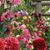 Marla K Largent's profile image