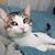 Dianne Donnelly McKnight's profile image