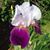 Jene Hopkins's profile image