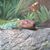 Carrie Linn Elenbaas's profile image