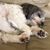 Colleen Basilisco Stewart's profile image