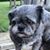 Claudia Foutch's profile image