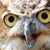 Mead Parsons's profile image