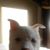 Ann Mattson's profile image