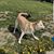 Donna Leavitt's profile image