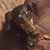 Marsha Manley's profile image