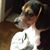 Sherry Leonard's profile image