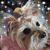Bonnie Cravener-Rubis's profile image