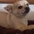 Tracy Greis's profile image