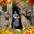 Susie Velasco Plasencia's profile image