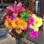 Denise E. Darrah's profile image