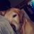 Billy Deerman's profile image