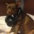 Skyler Meredith Shiznix's profile image