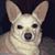 Alison May's profile image