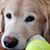 Kate Dehn Spence's profile image