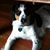 Gina Harrison's profile image