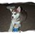 Jennette Swatkowski's profile image