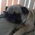 Gerri Dyke's profile image