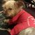 Barbara Moore's profile image