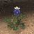 Beth Fryer Greer's profile image