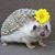 Betty Davis's profile image