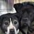Barb Aben's profile image