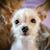 David Zayas's profile image
