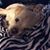 Becky Duris's profile image